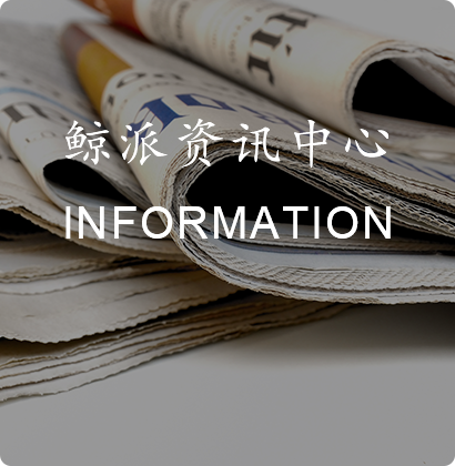 鲸派网咨询中心